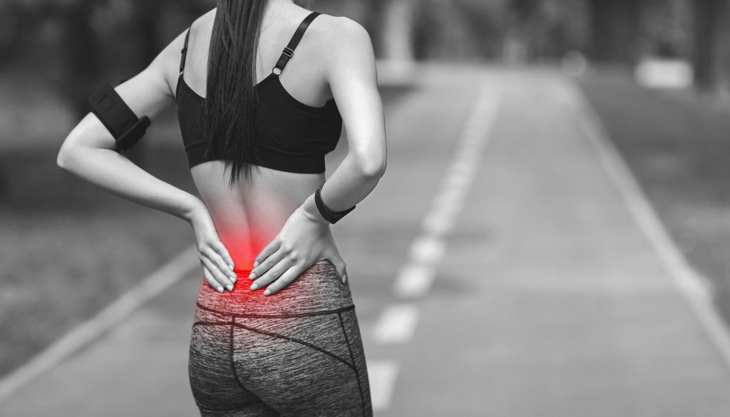 Integration of Physical Therapy and Ayurveda in Low Back Pain